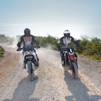 Held Hakuna Matata 3 Pants Grey-Black - Large